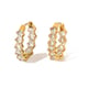 Gold 2 Picture2